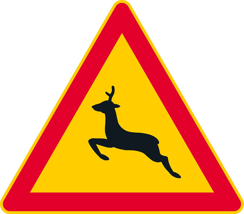 Kauriseläin liikennemerkki